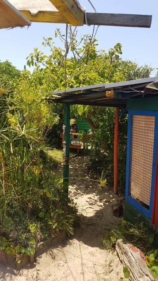 Ajo Aloha Hostel 카보 폴로니오 외부 사진