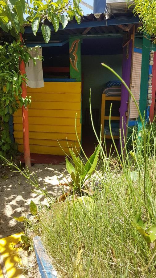 Ajo Aloha Hostel 카보 폴로니오 외부 사진