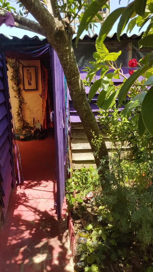 Ajo Aloha Hostel 카보 폴로니오 외부 사진